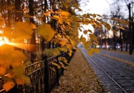 Ўзгидромет маълумотларига кўра, 8 ноябрь куни мамлакат