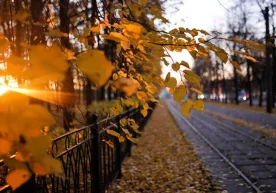 Ўзгидромет маълумотларига кўра, 8 ноябрь куни мамлакат