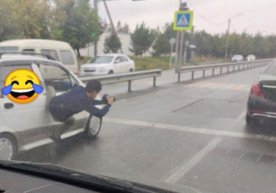 Kun fotosi: Bizni kamerachilar oldida «O‘rgimchak tasvirchi» dam oladi фото