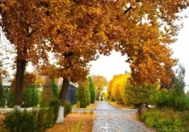 Ҳавонинг ўртача статистик ҳарорати кескин ўзгариб туриши