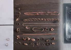 Давлат хавфсизлик хизмати ва божхона ходимлари қимматбаҳо