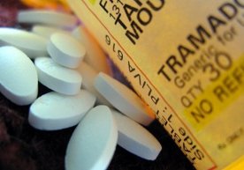 DXX Qashqadaryoda o‘tkazgan tezkor tadbirda 30 ming dona «Tramadol» aniqlandi фото