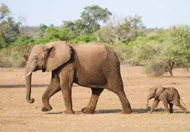 Foto: iStock 9 mingdan ortiq ilmiy ish ma’lumotlari tahlil