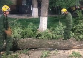 17 май куни Тошкент шаҳрида кечки пайт соат 19:00 лар
