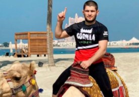 Аралаш яккакураш оламининг афсонасига айланган Хабиб