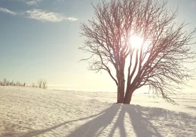 Қозоғистоннинг бир қатор ҳудудларида 10 ва 11 март кунлари