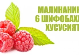 1.100 гр. мевасида 42 килокалория мавжуд бўлган бу мева
