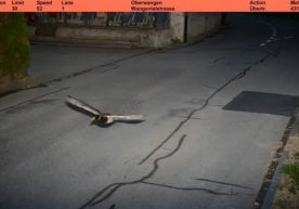 In the Swiss commune of Köniz, a road safety camera