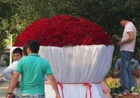 Ижтимоий тармоқларда 7500 дона атиргуллардан иборат улкан