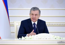 Йил якунига қадар солиқ текширувларига мораторий эълон