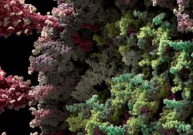 Foto: Visual Science Rossiyaning ilmiy vizualizatsiya