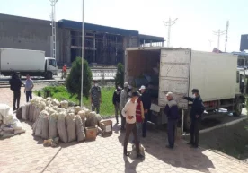 Сирдарёда юзага келган фавқулодда ҳодиса оқибатларини