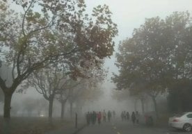 10 ноябрь куни Тошкент шаҳри ҳаво ифлосланиши бўйича