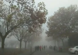 10 ноябрь куни Тошкент шаҳри ҳаво ифлосланиши бўйича