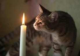 Бектемир туманида электр таъминоти вақтинча тўхтатилди фото