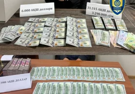 Тошкент шаҳрида ва Наманган вилоятида ноқонуний валюта