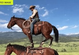 OpenAI 2024 йил охирида ишга туширилган видео яратиш