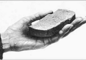 Бу воқеа 1941 йилда бўлиб ўтган. Совет қўшинлари катта