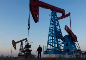 Бугунги кунда республика бўйича жами 275та нефть ва газ
