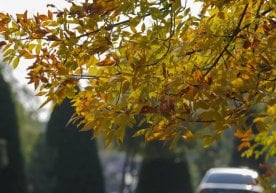 Қаттиқ континентал иқлим нима эканини айнан шу кунларда