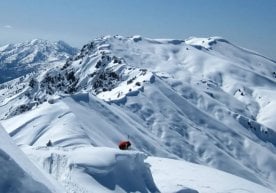 Ҳисор тоғ этакларида, айниқса Қашқадарё ва Сурхондарё