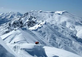 Ҳисор тоғ этакларида, айниқса Қашқадарё ва Сурхондарё