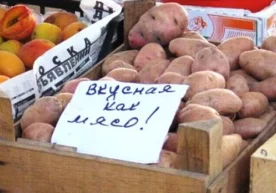 Май ойининг сўнгида бозордаги сабзавотларнинг нархлари