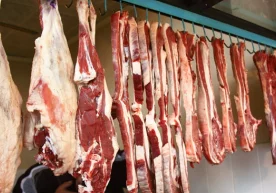 O‘zbekiston Respublikasi Iqtisodiyot vazirligi mamlakatda