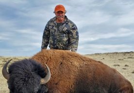 Afrikaning Gabon hududida ov jarayonida 75 yoshli