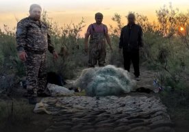 Navoiyda noqonuniy baliq ovlash natijasida tabiatga 1,2 mlrd so‘m zarar yetkazildi фото