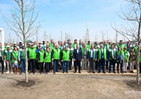 Yoshlar bog‘iga prezident ishtirokida ilk ko‘chatlar ekildi (foto) фото