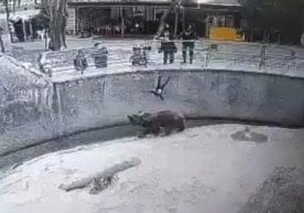 Тошкент шаҳрида содир бўлган навбатдаги жиноят ҳодисаси