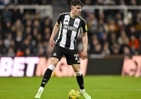 «Ньюкасл»нинг қанот ҳимоячиси Тино Ливраменто Англия