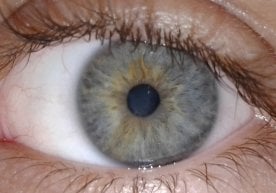 Россиянинг Омск шаҳрида воқеа шифокорларни ҳам, беморни