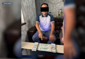 Тошкент вилояти Зангиота туман қишлоқ хўжалиги бўлими бош