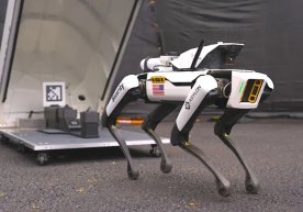 "Boston Dynamics" va "Asylon"