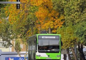 Toshkentda jamoat transportlarining yo‘llardagi harakat xavfsizligiga doir monitoring o‘tkazildi фото