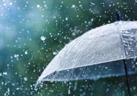 27 октябрь, душанба куни Ўзбекистоннинг кўп ҳудудларида