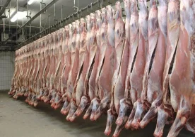 Auf dem Fleisch- und Fleischwarenmarkt unseres Landes sind