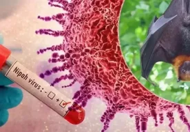 Ҳиндистонда хавфли ва ҳалигача вакцинаси ҳамда аниқ давоси