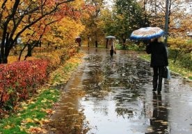 Ўзгидромет 15–18 сентябрь кунлари учун ҳаво шароитлари
