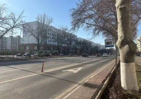 Toshkentda 29 mart kuni «Avtomobilsiz kun» tadbiri o‘tkaziladi фото