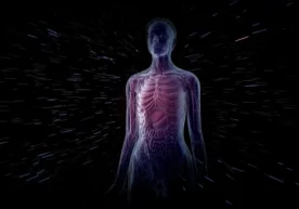 Фото: Shutterstock 1. Тананинг қон томирлар билан
