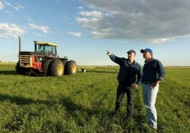 Мажбурий ижро бюроси Янгибозор тумани бўлими томонидан