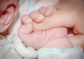 Фото: «УНИАН» Украинанинг Черновси шаҳрида 28 сентябрь,