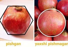Ҳозирги кунда ҳар қадамда дўконларга дуч келасиз,