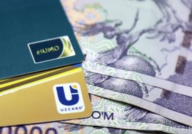 2025 йилнинг дастлабки олти ойида Ўзбекистон бўйлаб ўртача