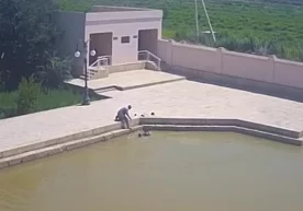 Buxoroda Milliy gvardiya zobiti 8 yoshli bolaning hayotini