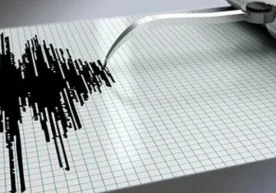 2025-йил 11-ноябрь куни Ўзбекистонда зилзила содир бўлди.