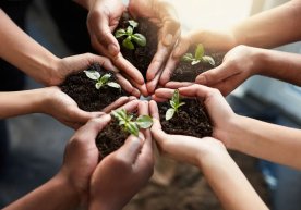 2026 йилда Ўзбекистонда экологик лойиҳаларни молиялаштириш